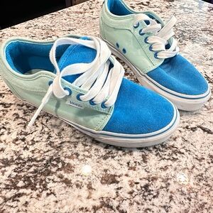 Vans Two-Tone Blue & Mint Skate Shoes